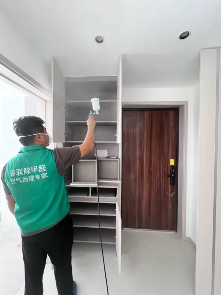 格调步庭除甲醛施工照片