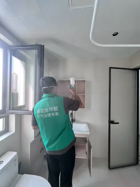 格调步庭除甲醛施工照片